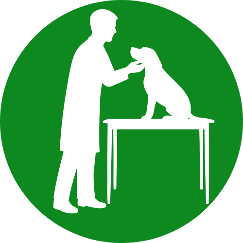 Veterinary Clinics