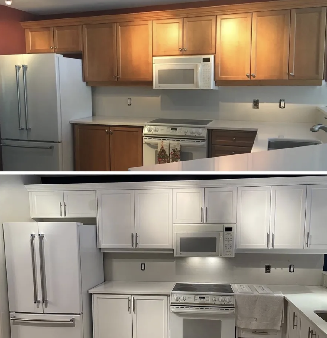 Turtle Painting Barrie