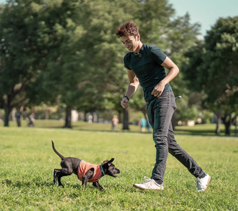 Allandale Veterinary Hospital Barrie