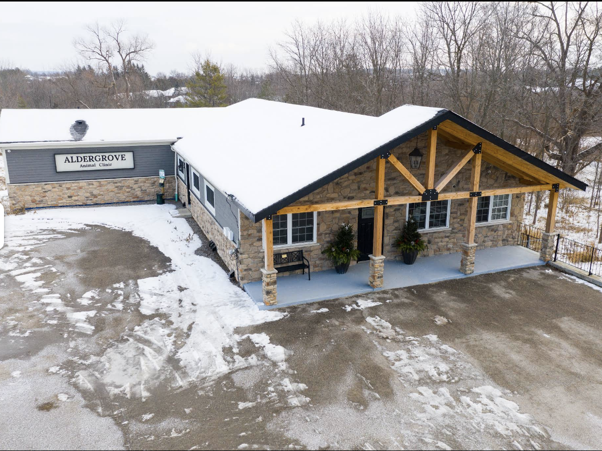 GoodWood General Contracting Barrie