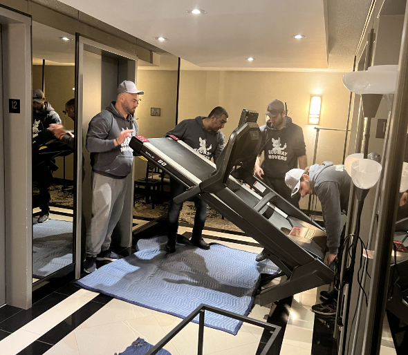 Ecoway Movers Barrie