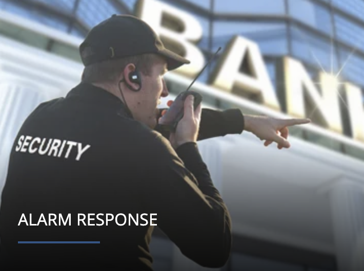 Magna Security Group Inc – Barrie