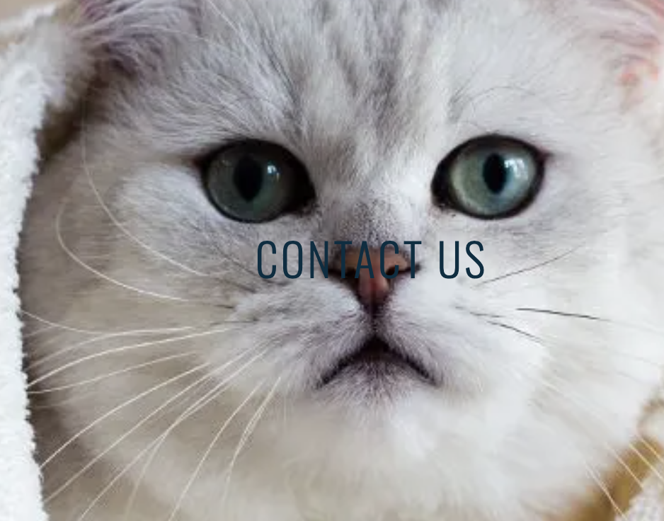 Royal Parkside Animal Hospital Barrie