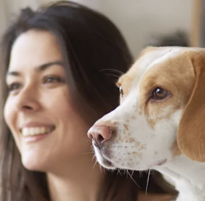 Big Bay Animal Hospital Barrie